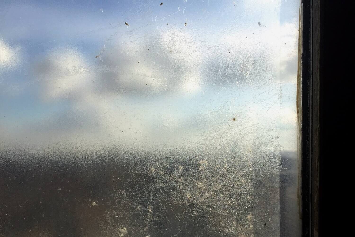 rain-drops-glass-window